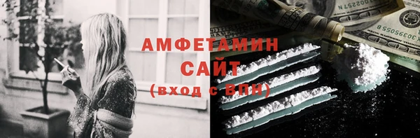индика Киреевск