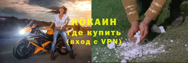 индика Киреевск