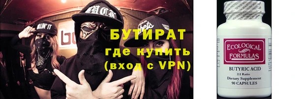 индика Киреевск