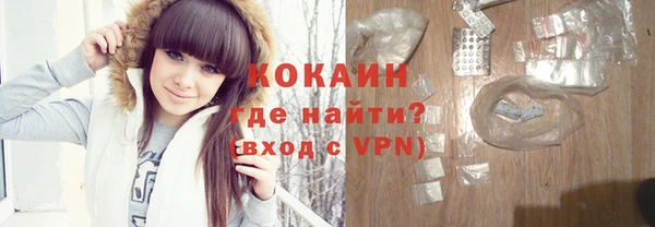индика Киреевск