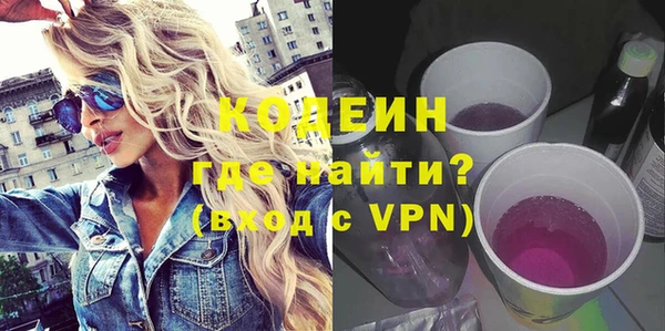 индика Киреевск