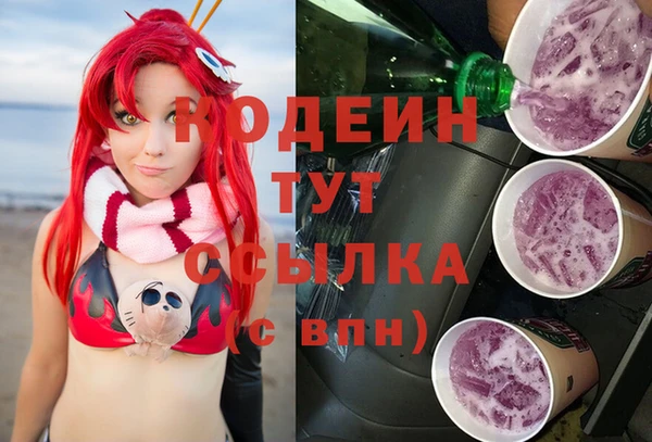 индика Киреевск