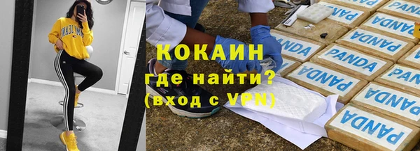 индика Киреевск