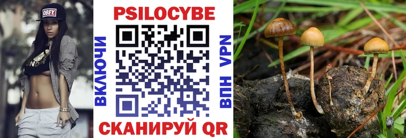 Купить  Усинск  Псилоцибиновые грибы мухоморы 